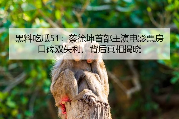 hei-liao-chi-gua-cai-xu-kun-shou-bu-zhu-yan-dian-ying-piao-fang-kou-bei-shuang-shi-li-bei-hou-zhen-xiang-jie-xiao-2-304.jpg