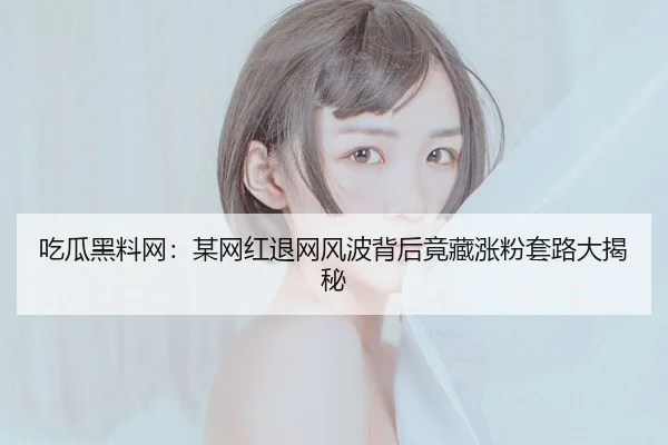 吃瓜黑料网：某网红退网风波背后竟藏涨粉套路大揭秘